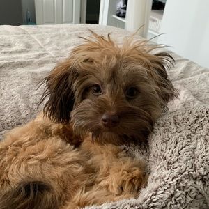 Meet your Posher, Kelly